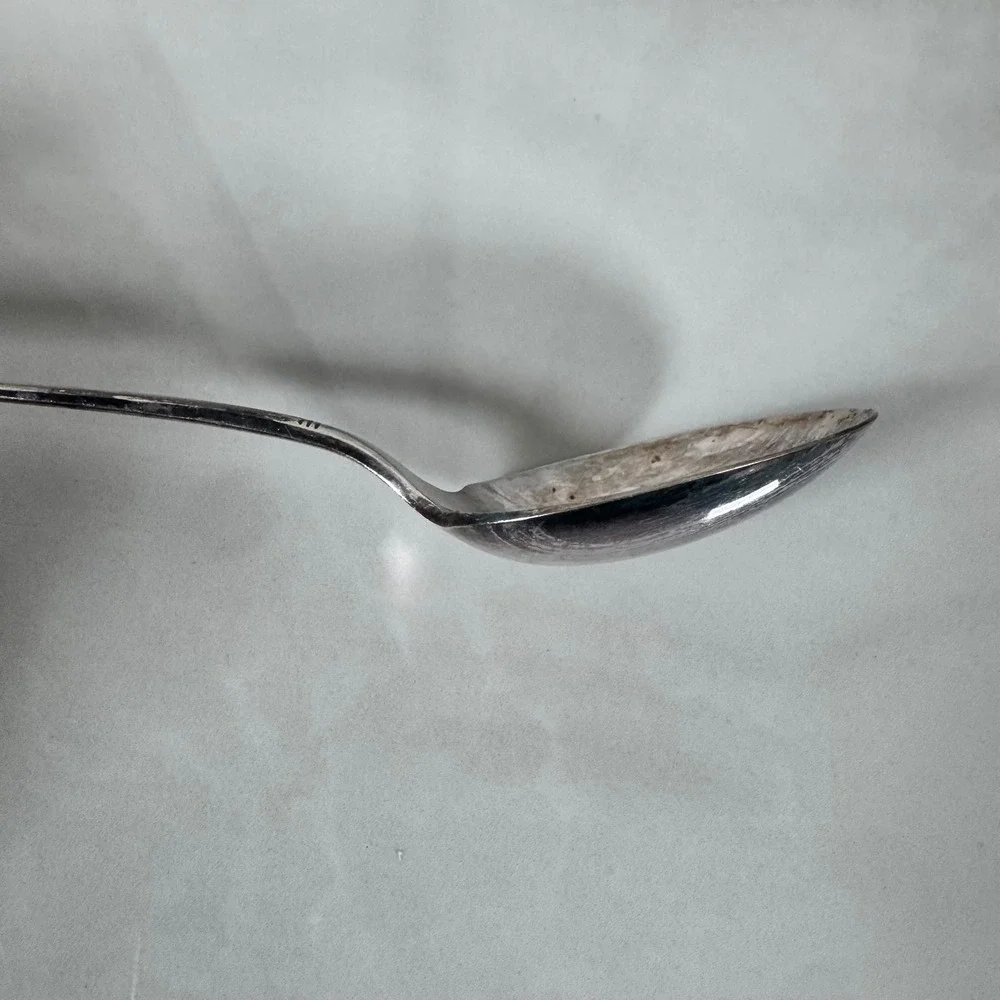 Oneida Nobility Plate‎ Silver Plated Bouillon Soup Spoon Caprice Floral Pattern